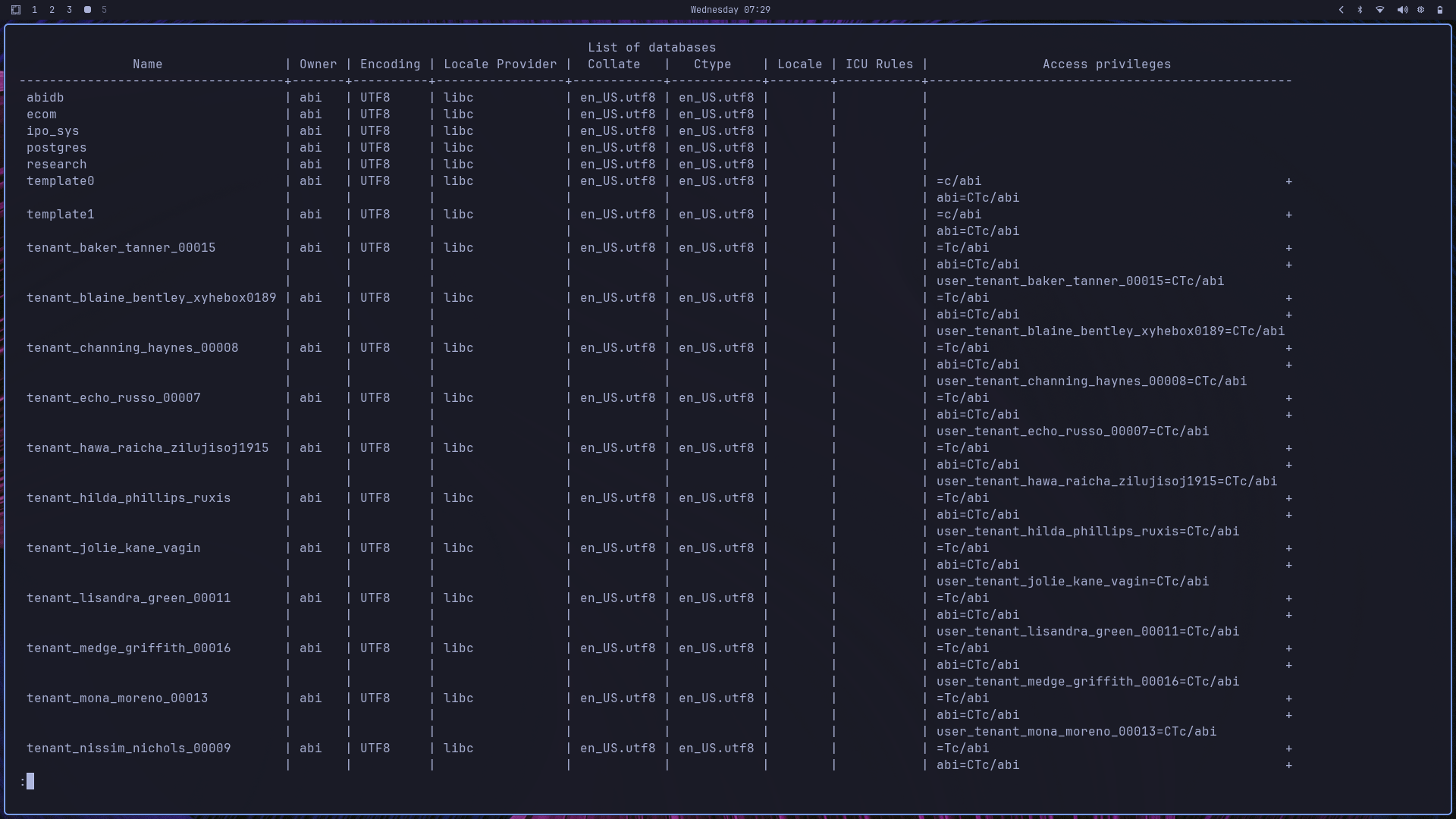 Multi-Tenant Database Architecture